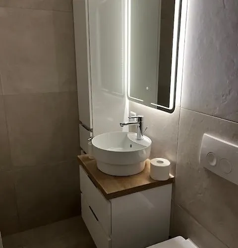 In Kuckuk Apartment Habkern